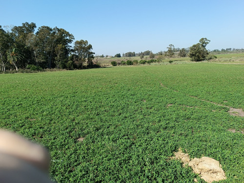 Vendo Chacra Con Cabaña De Madera, Cañada, A 30 Km De Montevideo