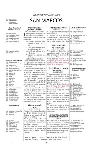 Imagen 6 de 7 de Biblia De Estudio Thompson Referencias Piel Negro Gris