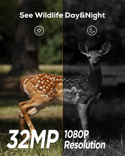 Cámara Izeeker Trail, Cámara De Juegos De 32 Megapíxeles...