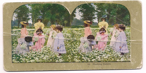 Foto Estereoscopica Stereo Antigua Nenas Mujeres Jardin B10