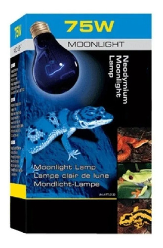 Foco Luz Natural Luna Anfibio Reptil Night Glo 75w Exo Terra