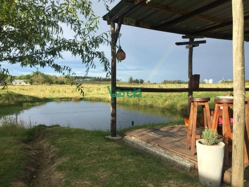Imagen 9 de 12 de Chacra De 4 Has Con Casa En San Bautista - Balnearios Parque Del Plata