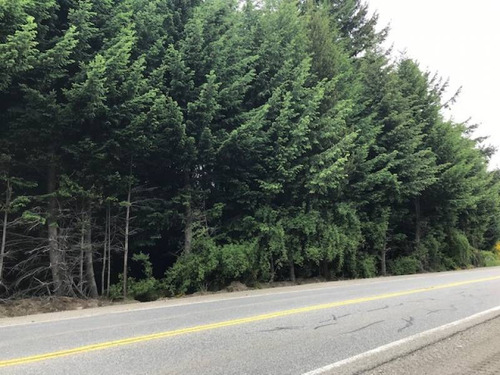 Terrenos O Lotes Venta Villa La Angostura