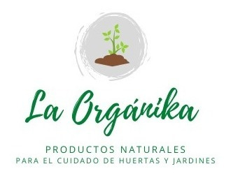 Aceite De Neem 100ml