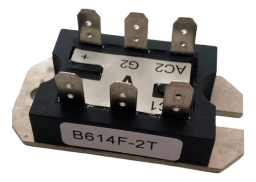 Modulo De Diodo De Potencia B614f-2t Crydom 42a (generico)