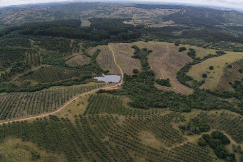 Imagen 9 de 30 de Campo Ovicola En Garzon - 212 Hectareas