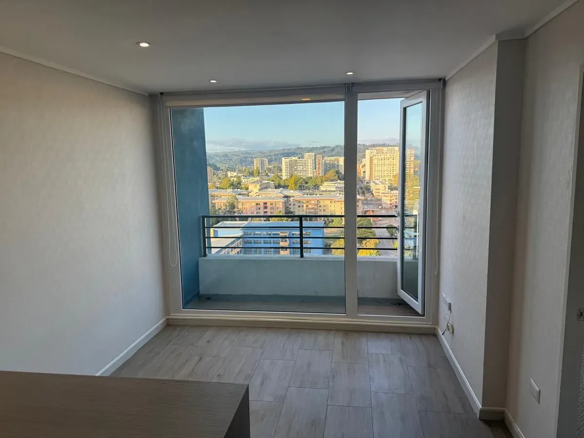Imagen 4 de 10 de Vendo Depto 1 Dormitorio 1 Baño