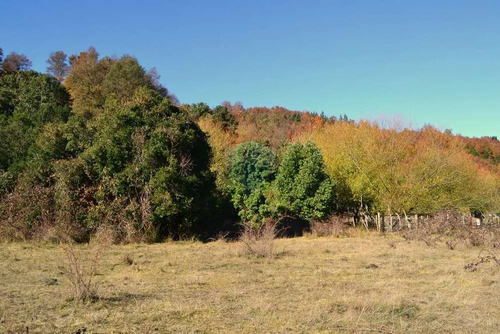 Venta Parcela Plana Entre Pucón Y Curarrehue