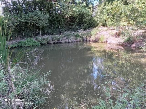 Imagem 14 de 15 de Cód - 5792 - Chácara Em Piedade Com Lago - 5792