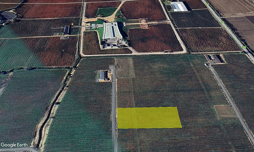 Santa Cruz - Viña 5.000 M2 - Fuegos De Apalta