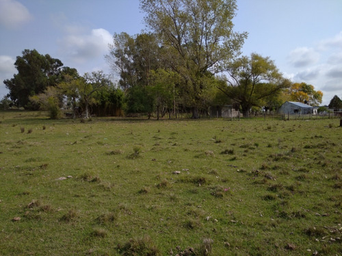 Campo Con Casa A 90 Km De Montevideo