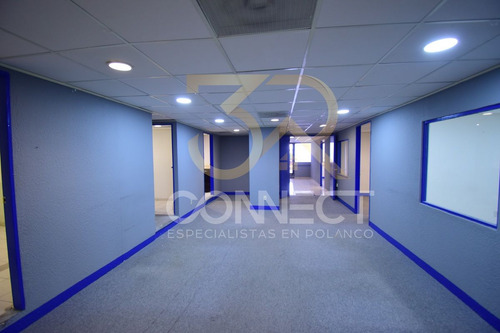 Oficina En Renta En Anzures 6c/2b/1e - Excelente Ubicación - 178m2