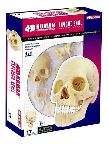 Imagen 4 de 4 de 4d Vision Human Anatomy Modelo Craneo Humano 17pcs 26086