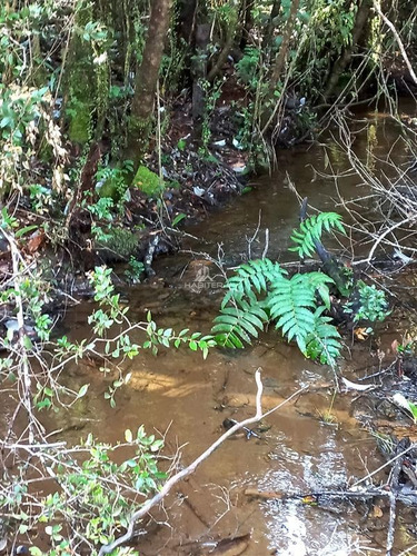 Imagen 22 de 23 de Agrícola En Venta En Puerto Montt