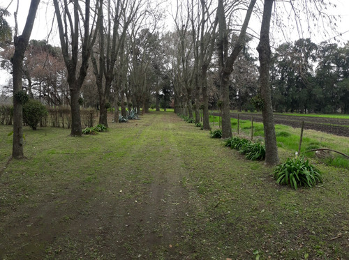 Chacra En Marcos Paz 10 Hectareas  Con Sembrado