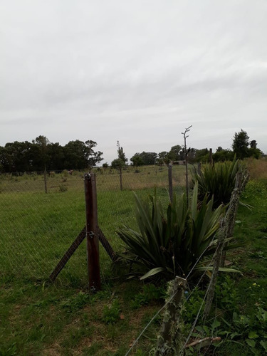 Imagen 4 de 5 de Lote En General Madariaga Barrio Sustentable Manzana 67r Lote 12a