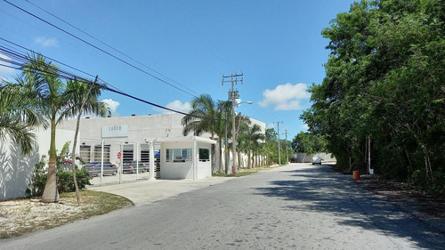 Imagen 8 de 11 de Bodega Renta 300 M2 Cancún