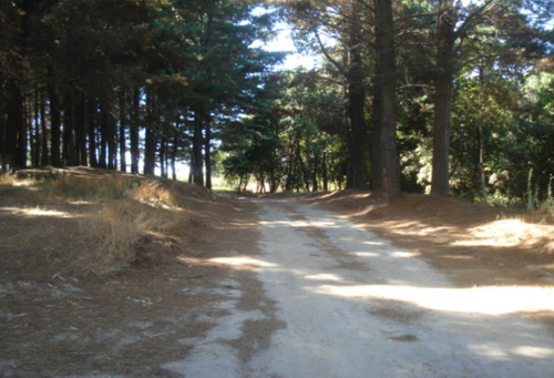 Terreno Para Desarrollo En Venta En San Pedro De La Paz