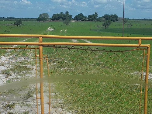 Imagen 12 de 14 de Finca En Venta - El Manteco, Estado Bolivar Fl