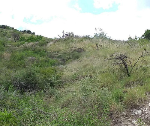Terreno Agrã­cola En Venta En Marfil Dorado, Guanajuato, Guanajuato