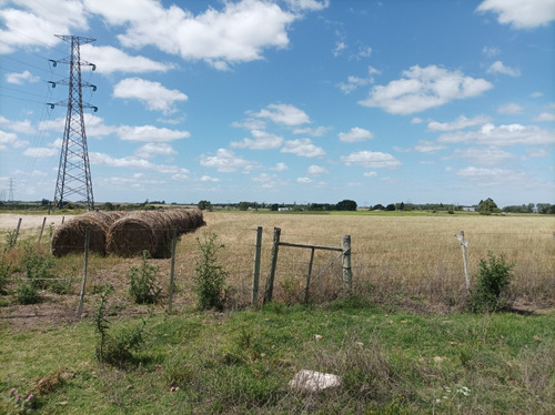 Chacra En Los Cerrillos 