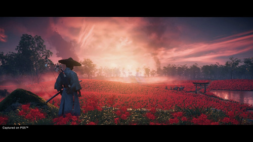Juego Ghost Of Tsushima Directors Ps5 Nuevo Fisico Play 5