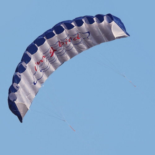 Surf Cometa Kitesurfing Playa Poder Parafoil Juego De
