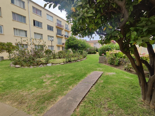 Venta Departamento 4d, 3b En 4 Norte Con Poniente Viña
