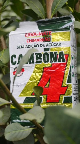 Kit 3 Erva Mate Cambona 4 Suave Chimarrão S/açúcar Vácuo 1kg