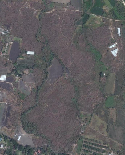 Terreno Campestre En Chiconcuac, Xochitepec, Morelos - Task-30-tca