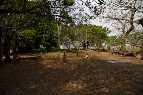 Empacadora-bodega En Venta En Chontalpa, Huimanguillo, Tabasco
