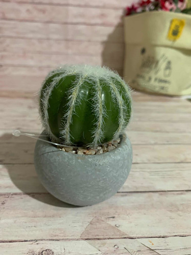 Mini Maceta Cactus Redondo Casaideas