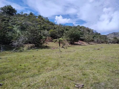 Lote En Arriendo/venta En Vereda La Florida. Cod A8579
