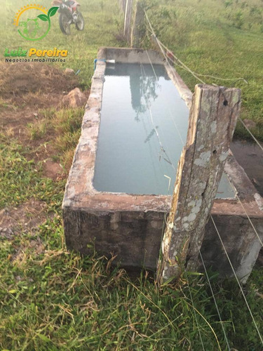 Imagem 15 de 15 de Fazenda À Venda Em Corguinho - Ms - 1.063 Hectares (dupla Aptidão) - 1941