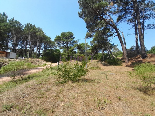 Imagen 8 de 12 de Venta De Lote En Barra Verde, La Barra, Uruguay - La Barra Barra Verde