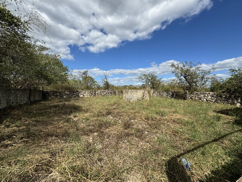 Ranchito Para Desarrollo De Proyecto