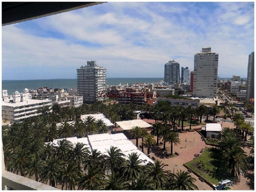 Imagen 3 de 26 de Venta Apartamento En Peninsula, 1 Dormitorios