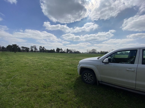 Imagen 6 de 16 de Lote En Estancia Las Lilas