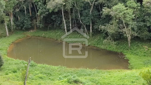Imagem 17 de 30 de Chácara Com Piscina Em Juquitiba - 57 - 70838312