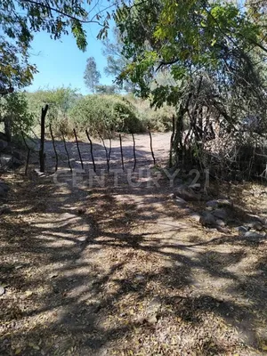 Terreno en venta