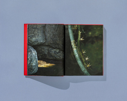 Carlos Motta: Marcenaria, Arquitetura E Design, De Carlos Motta (), Bruno Torturra (), & 1 Mais. Editorial Ubu Editora; 1a Edição, Capa Dura Em Português, 2024