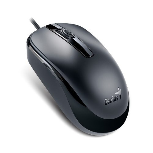 Mouse Genius Dx-120 Optico Usb Netbook Notebook Pc