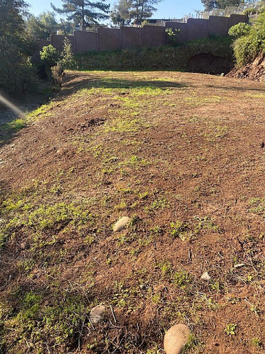 Se Vende Terreno Caburga, Los Pinos