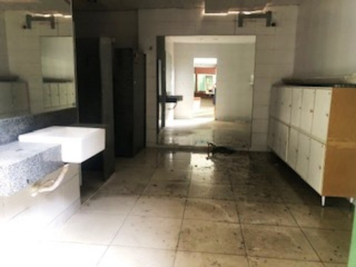 Imagem 13 de 27 de Casa Comercial Com 1.000m2 No Canela - Pas058p - 68868964