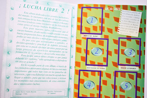 Wwf, Lucha Libre 2 (svr, 2000) (1) (Usado)