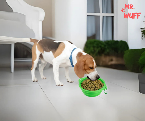 Plato Comedero Para Perro Plegable 16x12x6cm Mr Wuff Color Verde