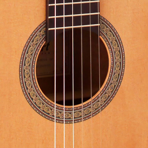Guitarra criolla clásica Cort Classic Series AC100DX para diestros poro abierto merbau