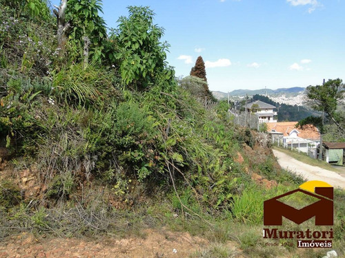 Imagem 9 de 15 de Lote À Venda - 2079