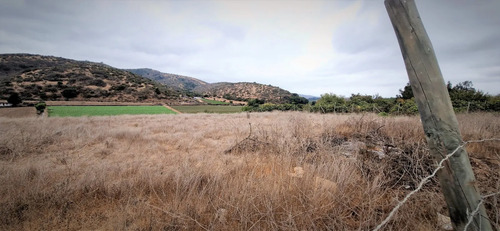En Venta Parcela De 7.500 M2., En El Huape, Manzanar, Quillo