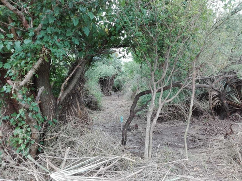Terreno Sobre Ruta 38 Zona Aguila Blanca Con Escritura